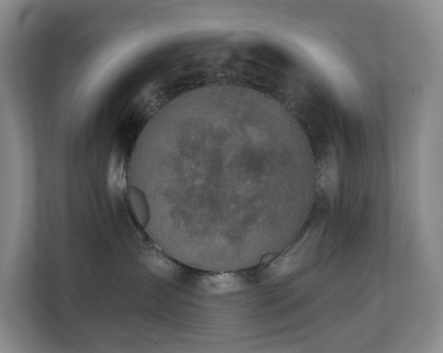 X0000110720431200906121432