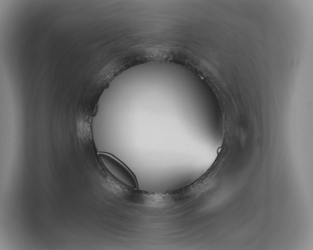 X0000110720432200906121432
