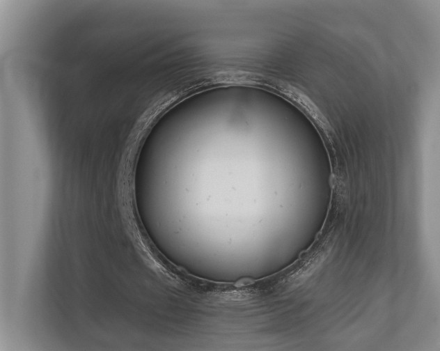 X0000110720433200906121431