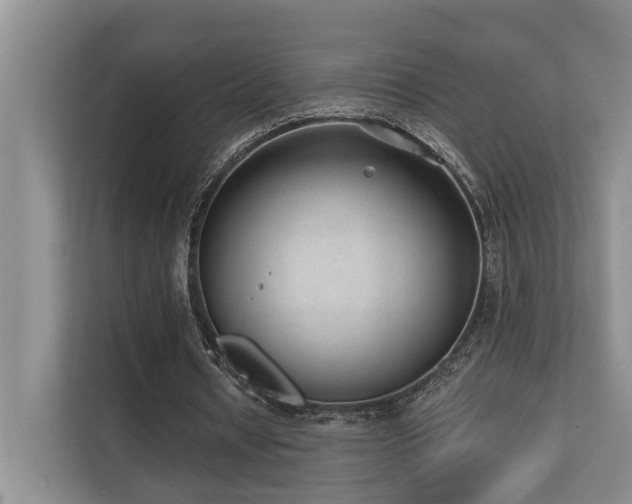 X0000110720434200906121431