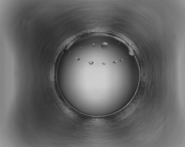 X0000110720437200906121431