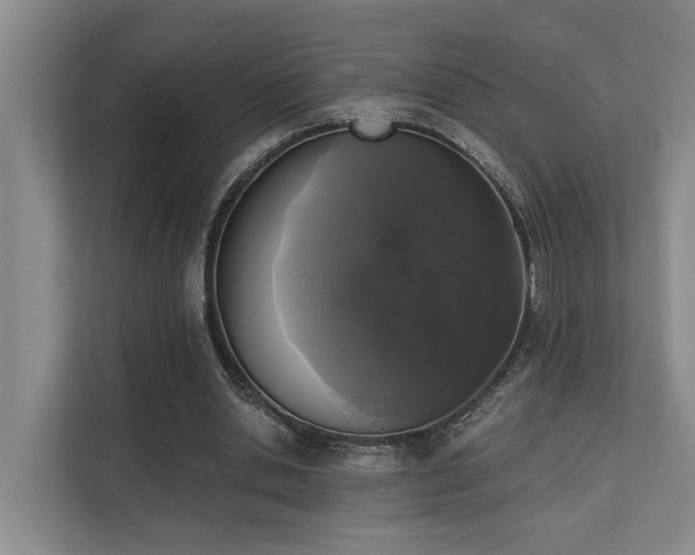 X0000110720438200906121431