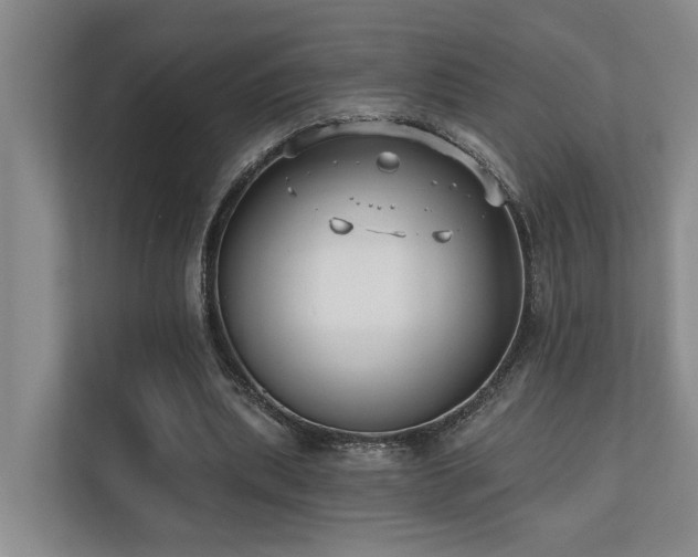 X0000110720439200906121431