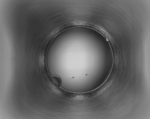 X0000110720441200906121431