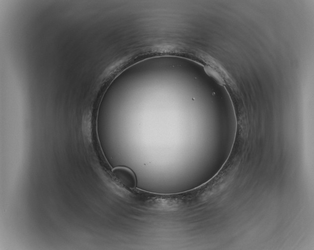 X0000110720442200906121431