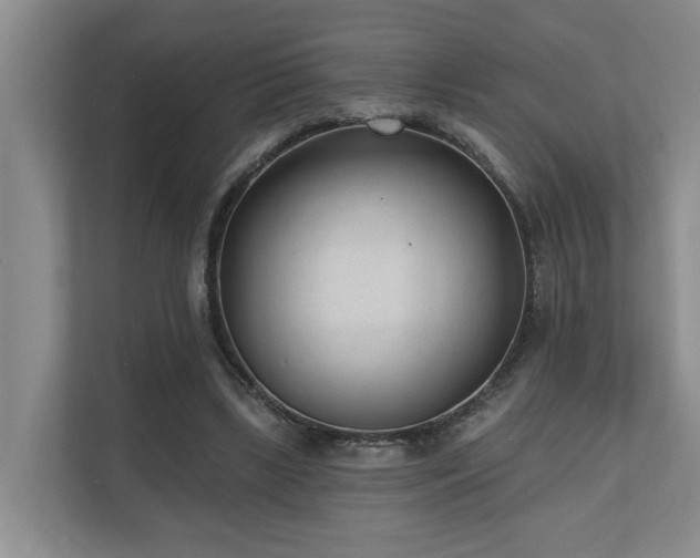 X0000110720443200906121431