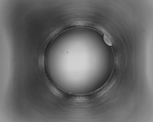X0000110720445200906121431