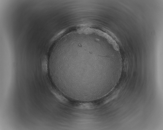 X0000110720446200906121431