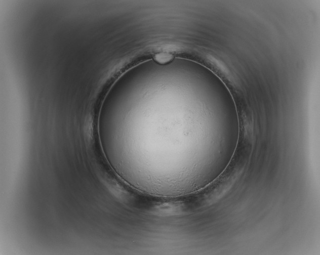 X0000110720447200906121431