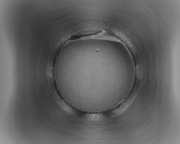 X0000110720449200906121431