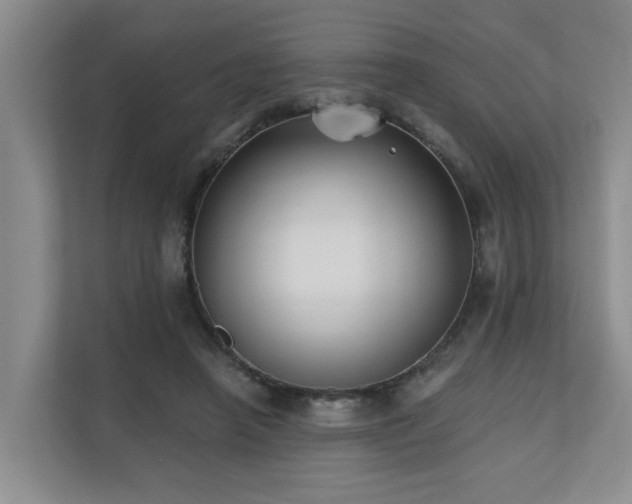 X0000110720450200906121431