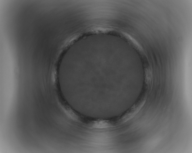 X0000110720451200906121431