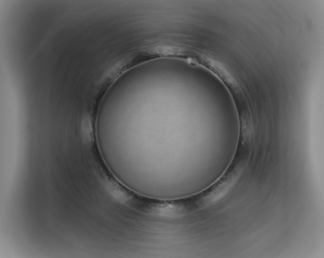 X0000110720453200906121431