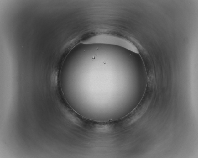 X0000110720454200906121431