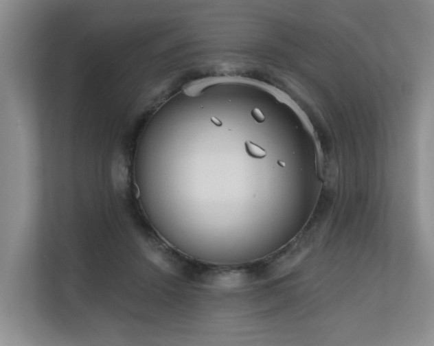X0000110720456200906121431