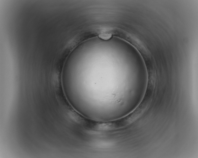 X0000110720461200906121431