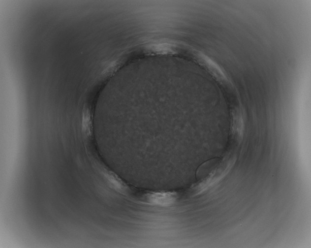 X0000110720465200906121432