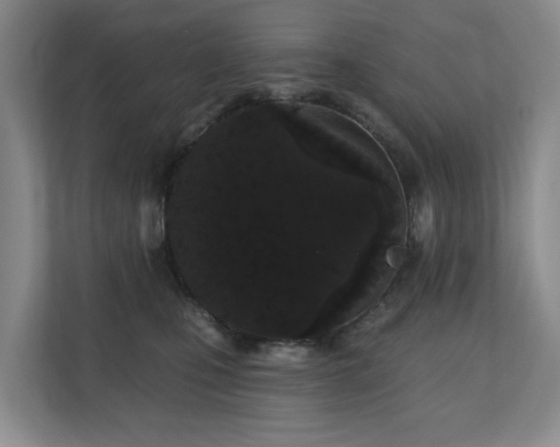 X0000110720471200906121432