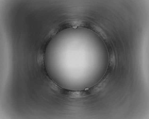 X0000110720473200906121432