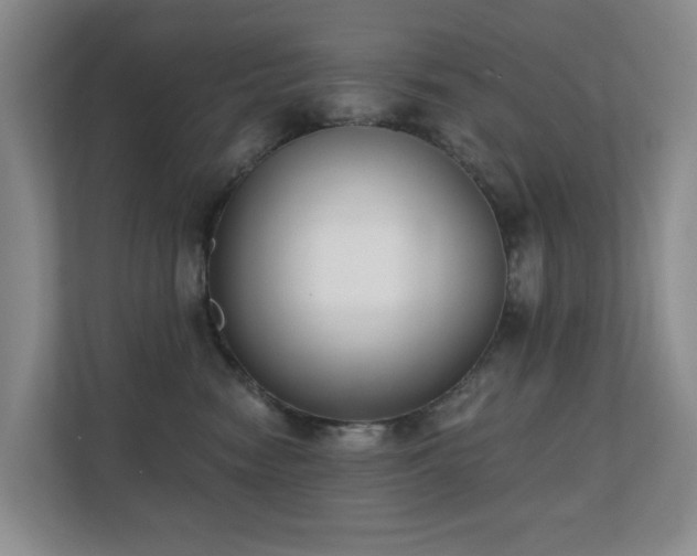X0000110720474200906121432