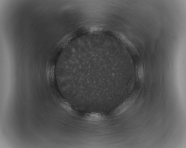 X0000110720475200906121432