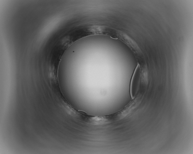 X0000110720477200906121432