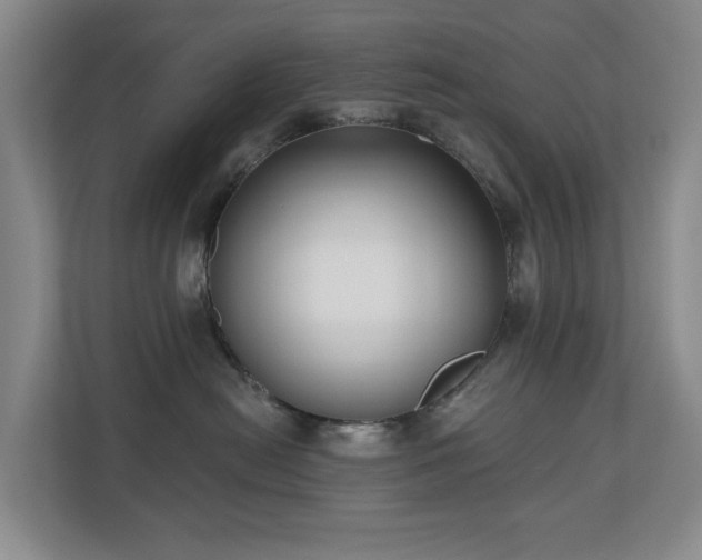 X0000110720478200906121432