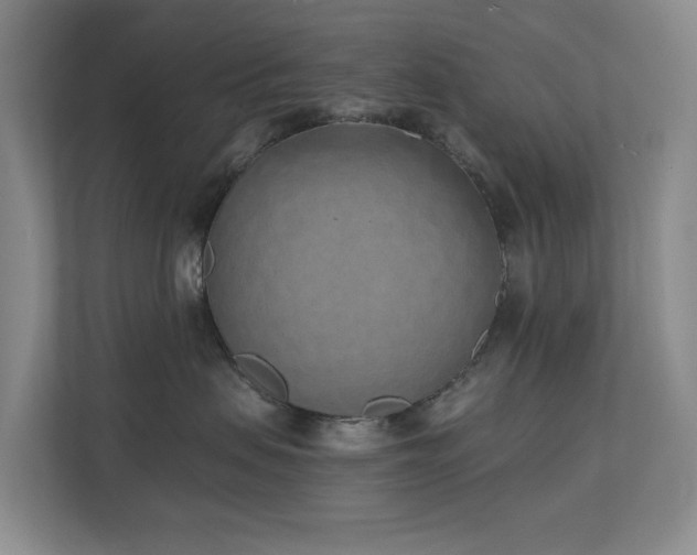 X0000110720479200906121432