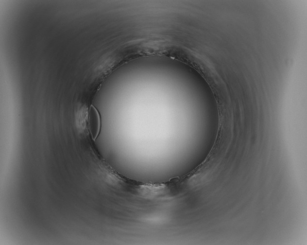 X0000110720480200906121432