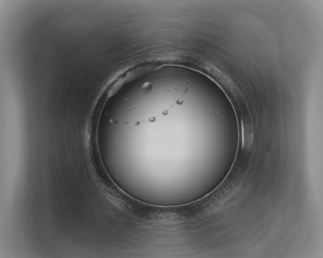 X0000110720483200906121431