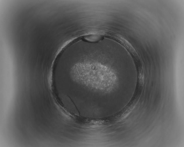 X0000110720484200906121431
