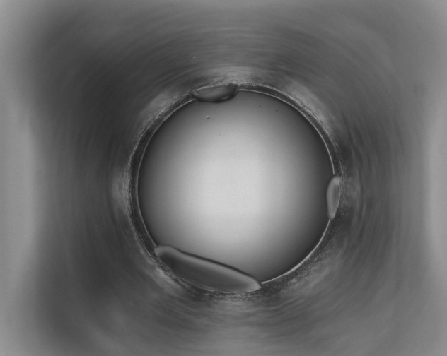 X0000110720485200906121431