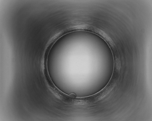 X0000110720486200906121431