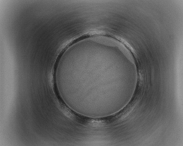 X0000110720487200906121431