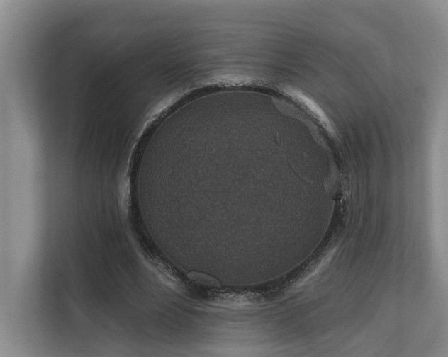 X0000110720488200906121431