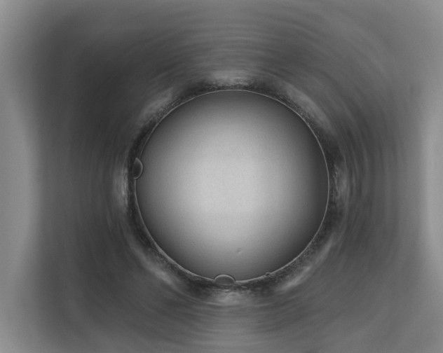 X0000110720494200906121431