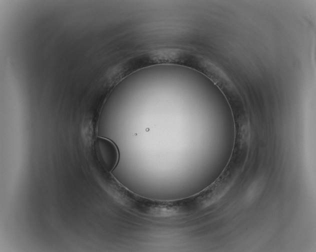 X0000110720498200906121431