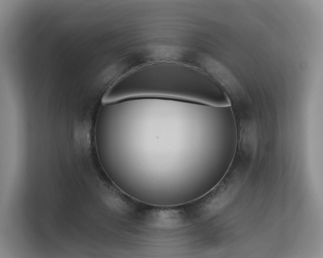 X0000110720501200906121431