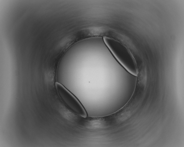 X0000110720505200906121431