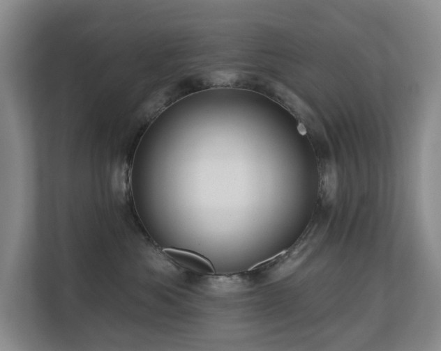 X0000110720525200906121431
