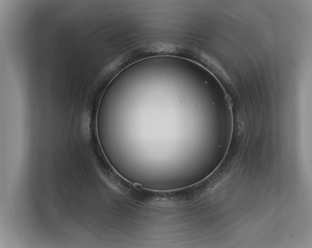 X0000110720538200906121430
