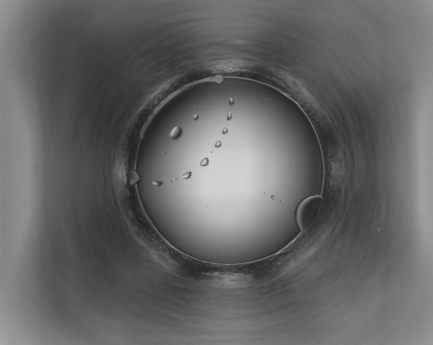 X0000110720539200906121430