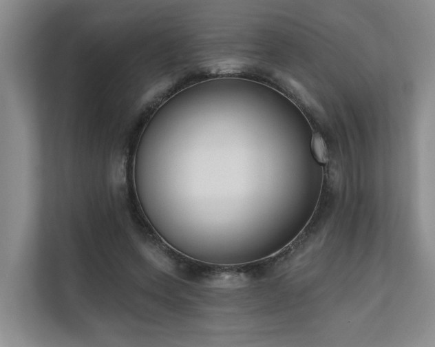 X0000110720543200906121430