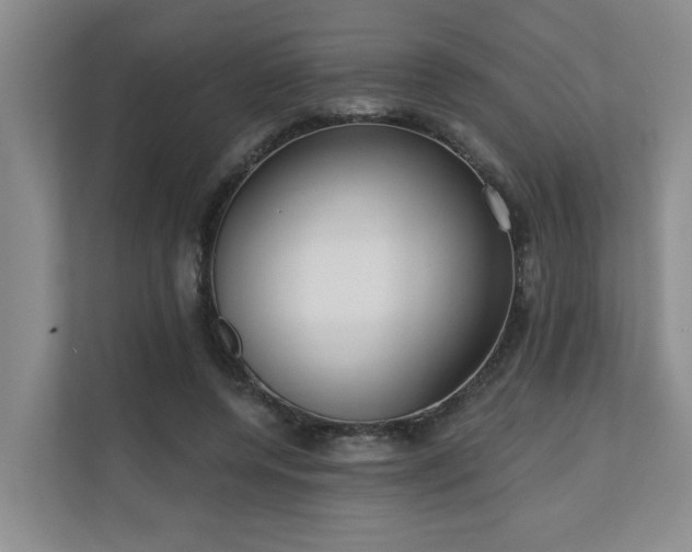 X0000110720544200906121430