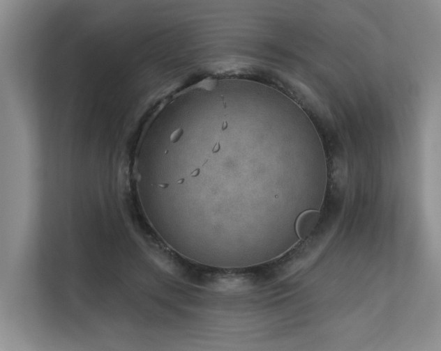 X0000110720547200906121430