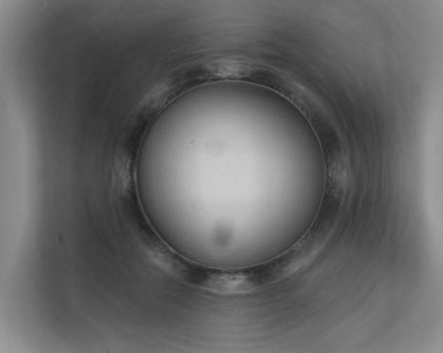 X0000110720554200906121430