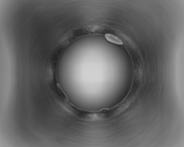 X0000110720558200906121430