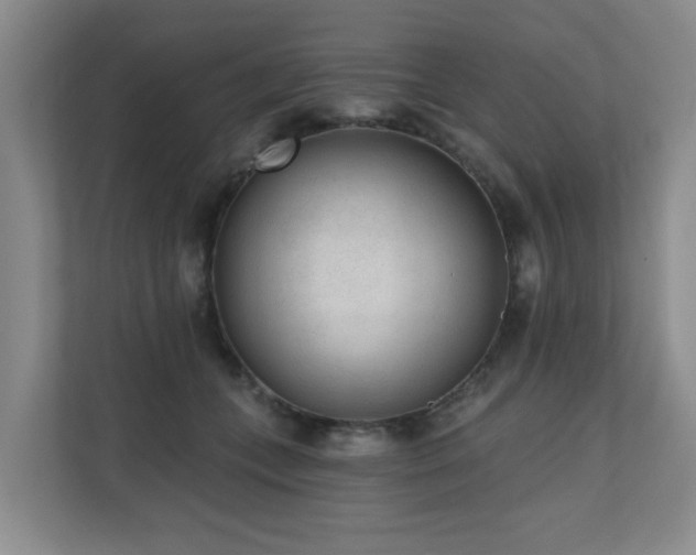 X0000110720559200906121430