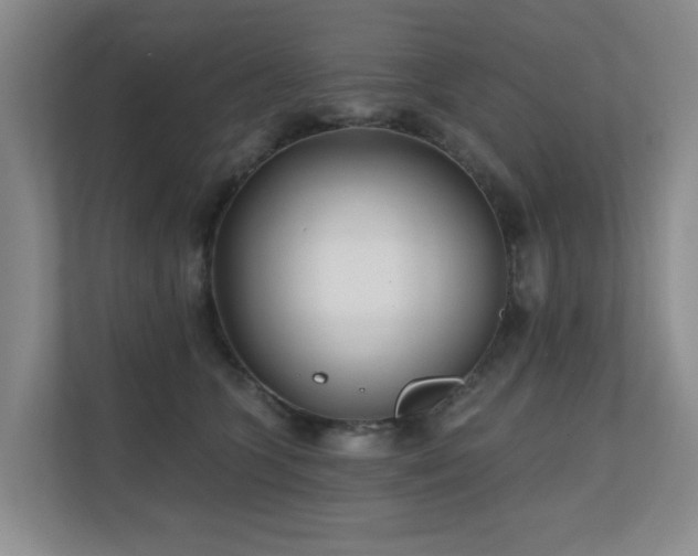X0000110720563200906121430