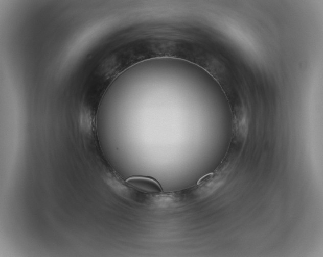 X0000110720574200906121430